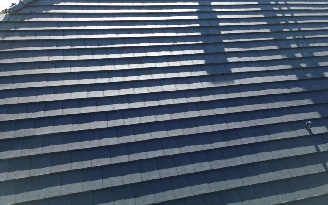 How Spring Weather Impacts Your Roof: What to Look for in March & April